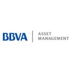 https://www.bbvaassetmanagement.com/am/am/es/es/internacional/home.jsp