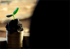 FONDOS DE INVERSIÓN COLECTIVA