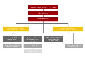 Organigrama Asofiducias